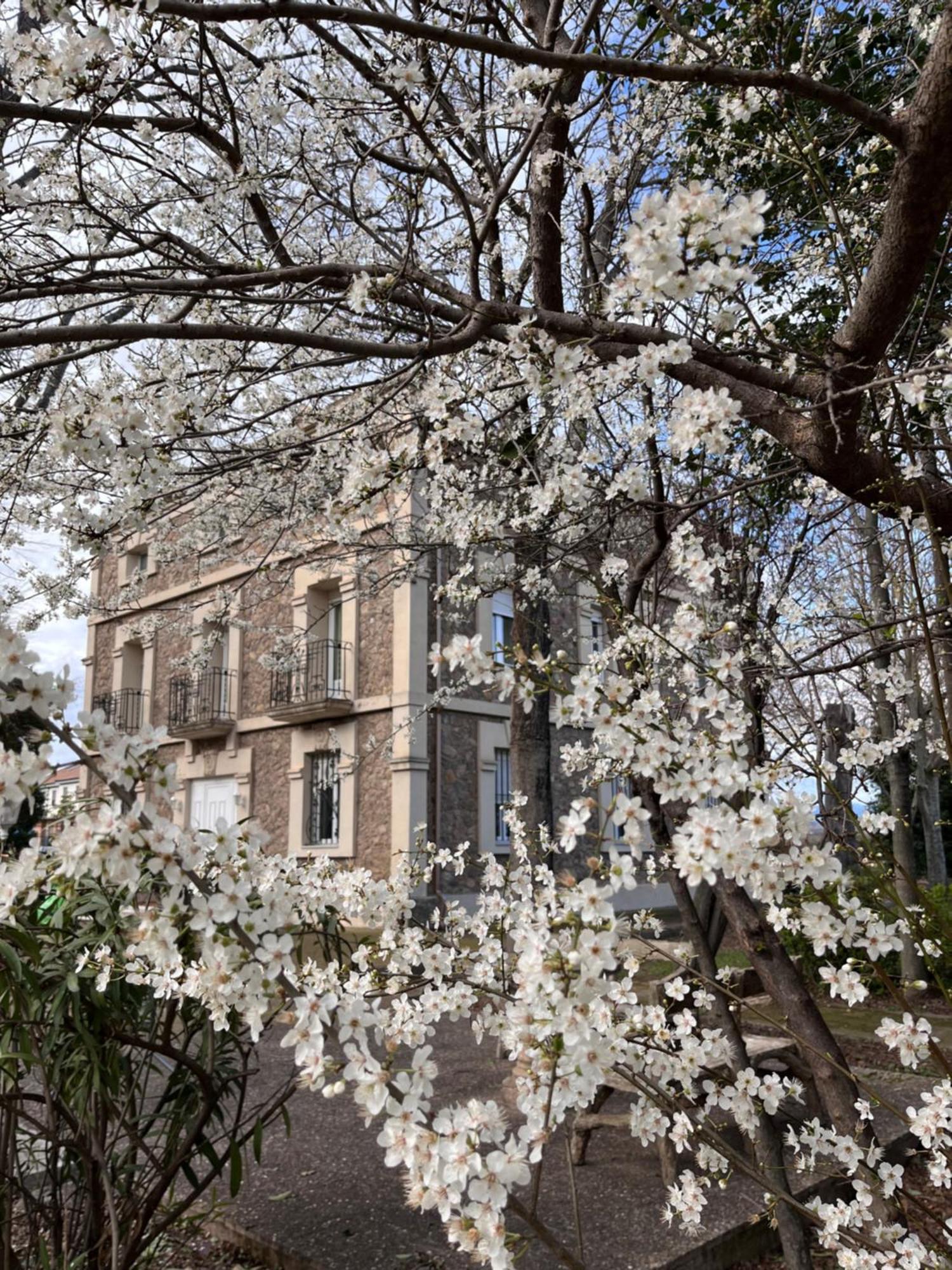 Agoncillo Villa Merenciana מראה חיצוני תמונה