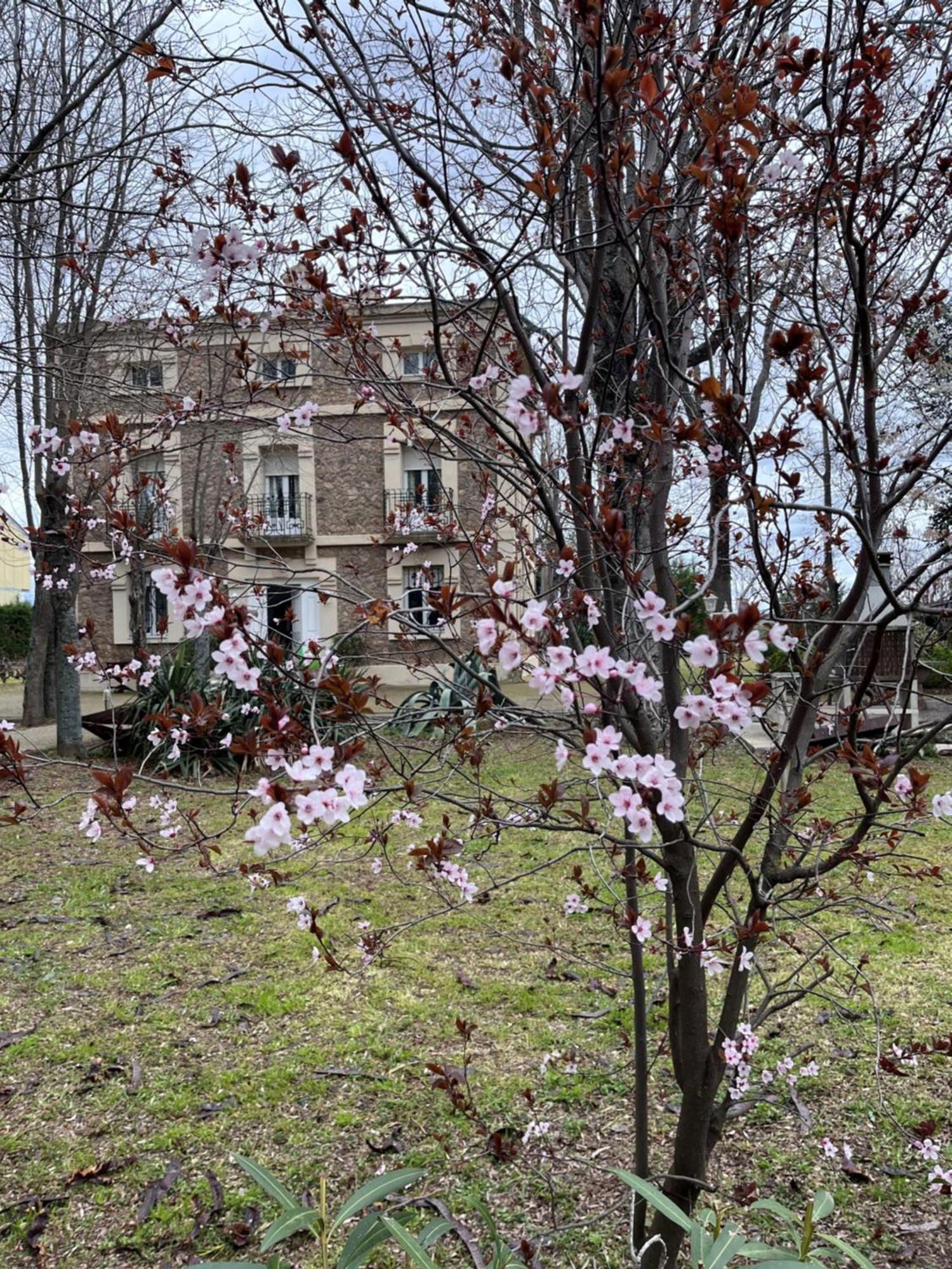 Agoncillo Villa Merenciana מראה חיצוני תמונה