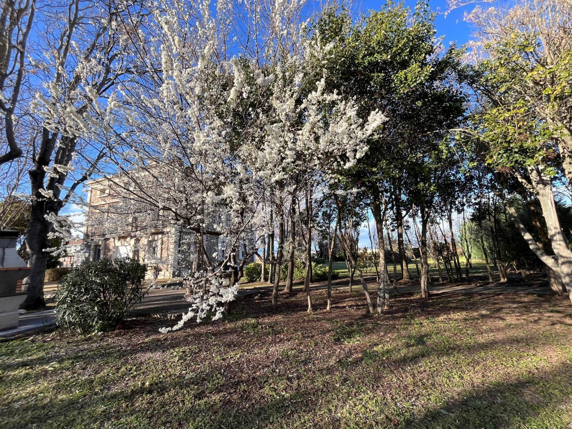 Agoncillo Villa Merenciana מראה חיצוני תמונה